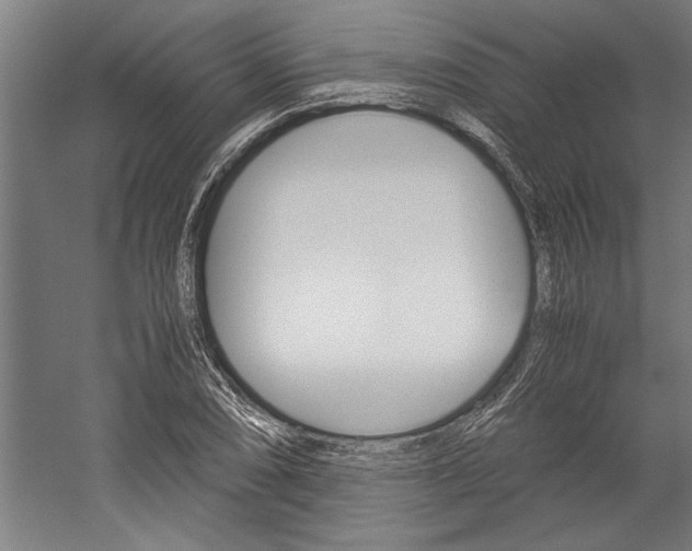 X0000060261074200510281003