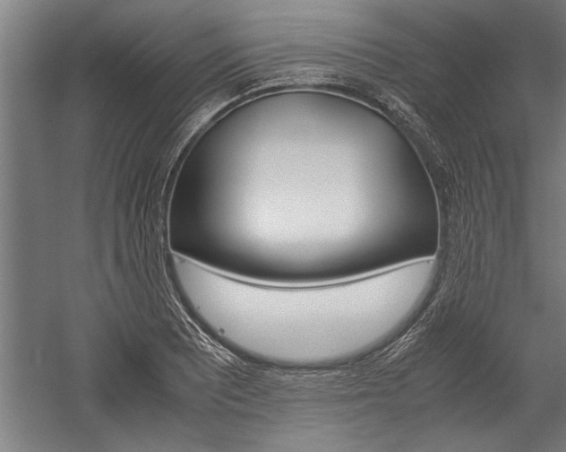 X0000060261081200510281003