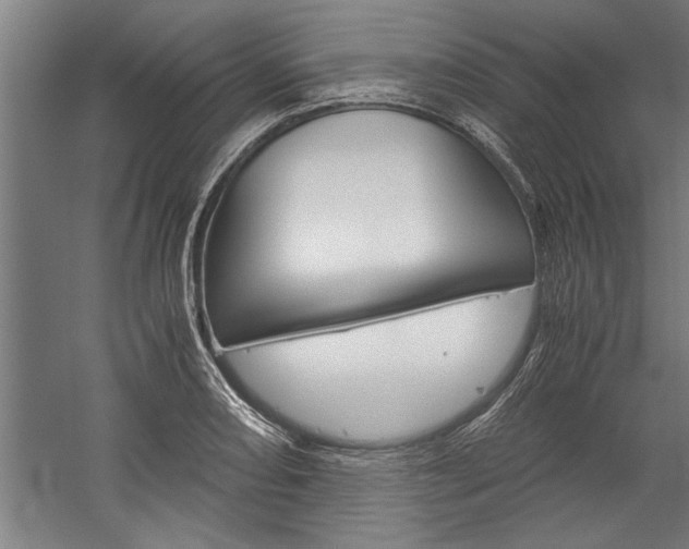 X0000060261082200510281003