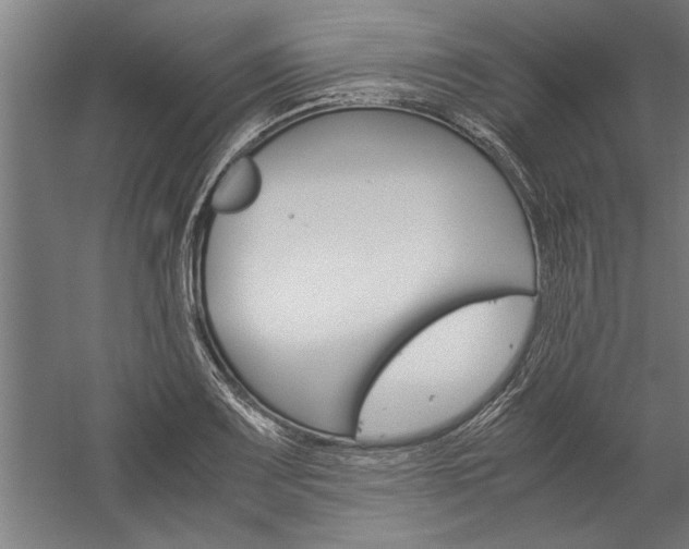 X0000060261083200510281003