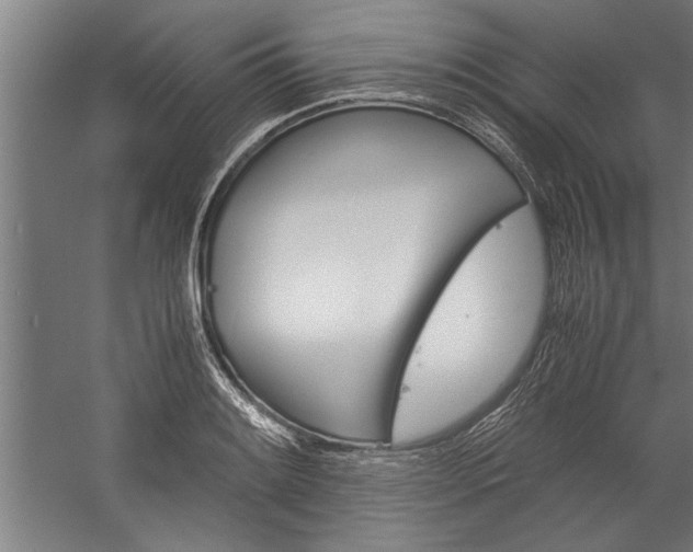 X0000060261084200510281003