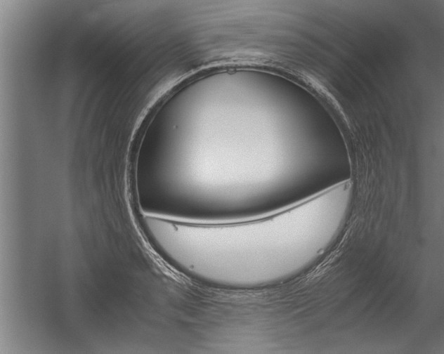 X0000060261085200510281002