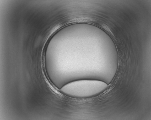 X0000060261087200510281002