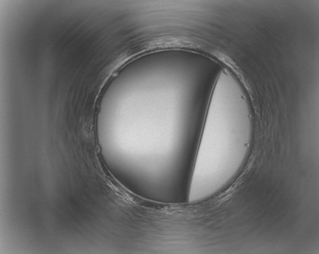 X0000060261089200510281002