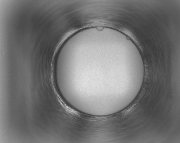 X0000060261094200510281002