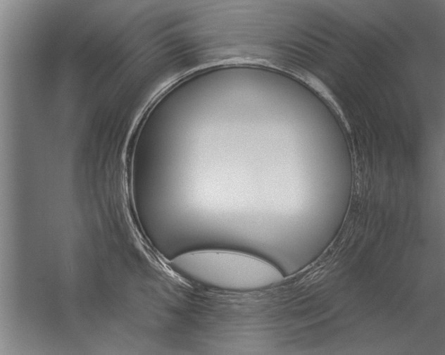 X0000060261096200510281002