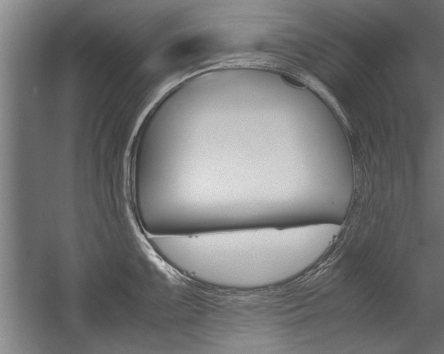 X0000060261099200510281002