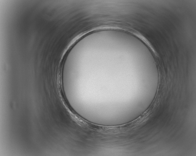X0000060261101200510281002