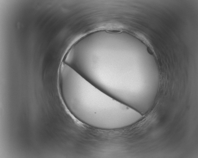 X0000060261103200510281002