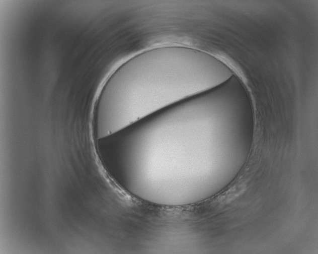 X0000060261104200510281002