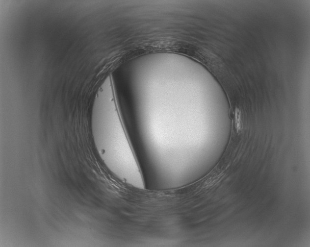 X0000060261107200510281001