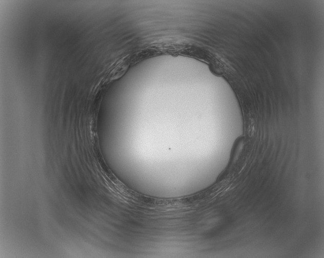 X0000060261108200510281001