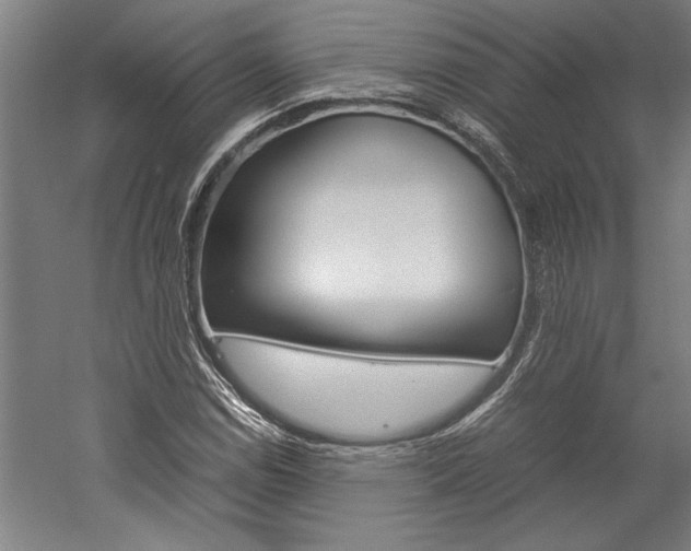 X0000060261114200510281002