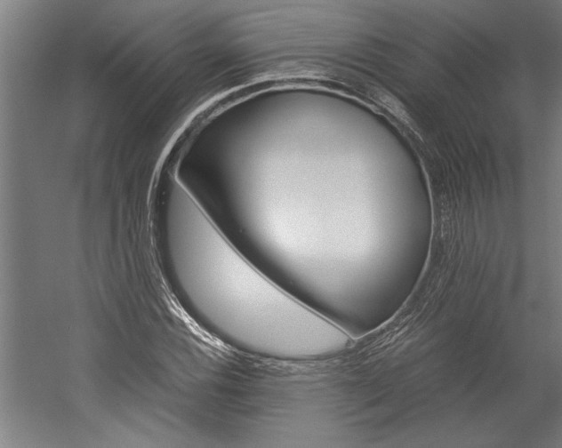 X0000060261116200510281002