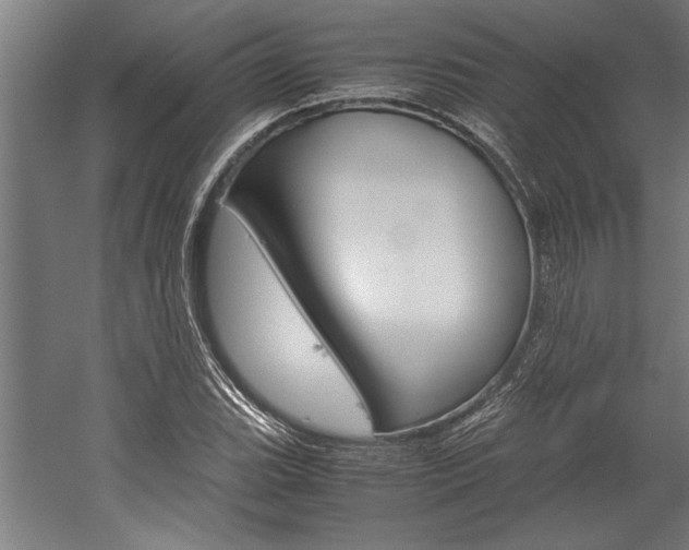 X0000060261119200510281002