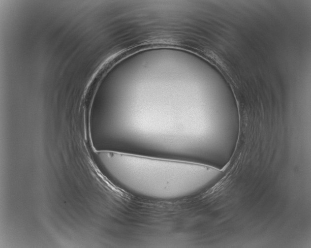 X0000060261123200510281002