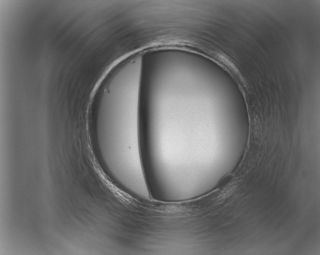 X0000060261124200510281002