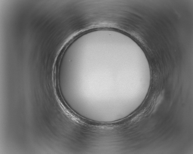 X0000060261126200510281002