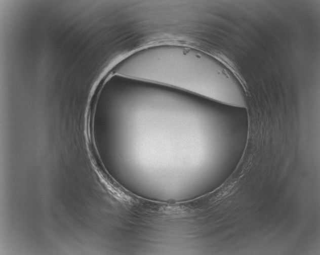 X0000060261128200510281002