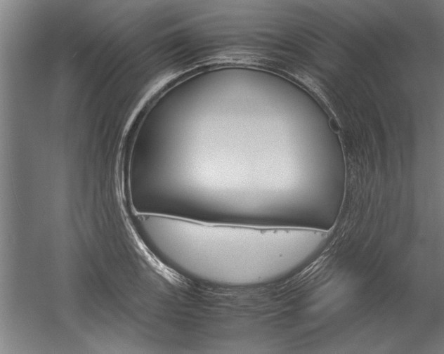 X0000060261131200510281002