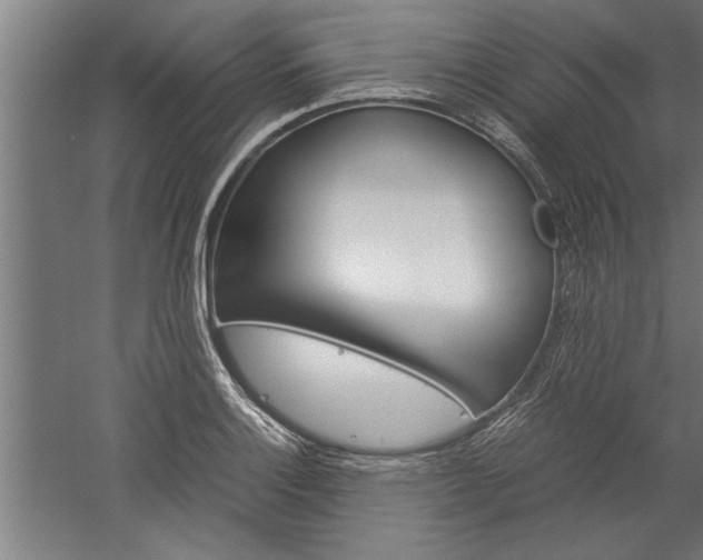 X0000060261132200510281002