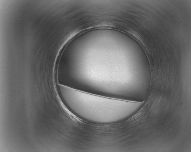 X0000060261135200510281002