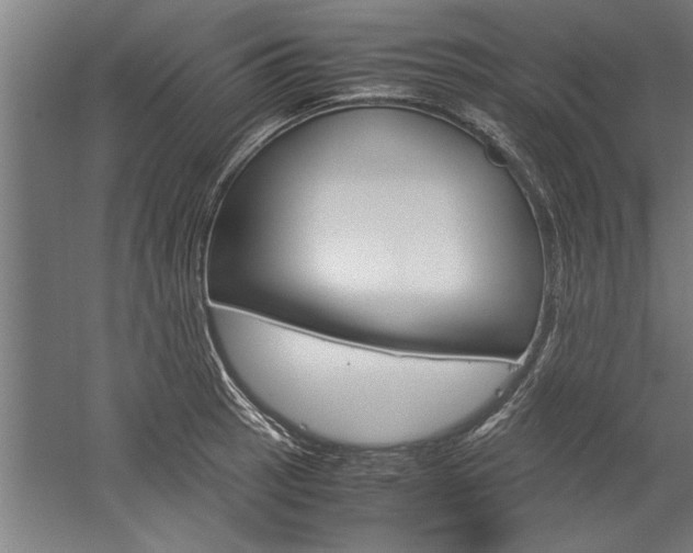 X0000060261137200510281002