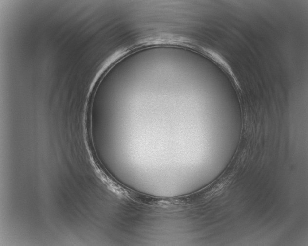 X0000060261138200510281002