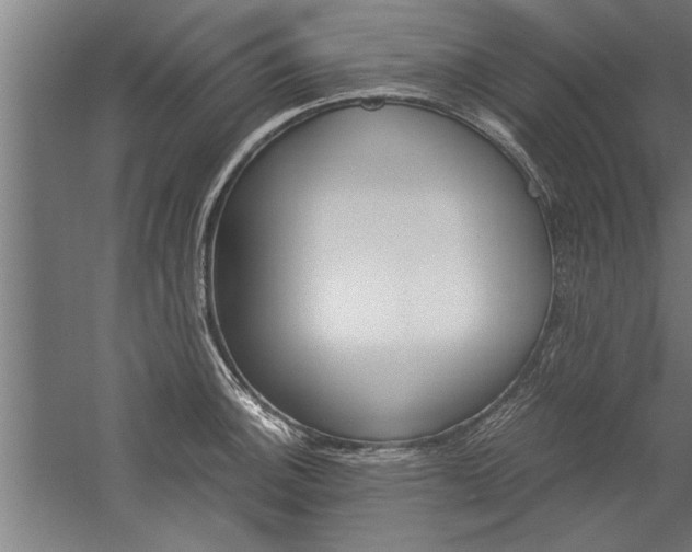 X0000060261140200510281002