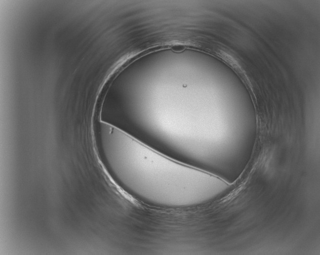 X0000060261141200510281002