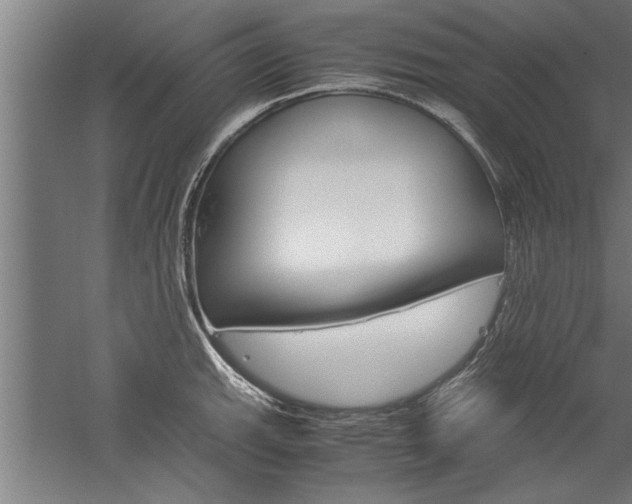 X0000060261143200510281002