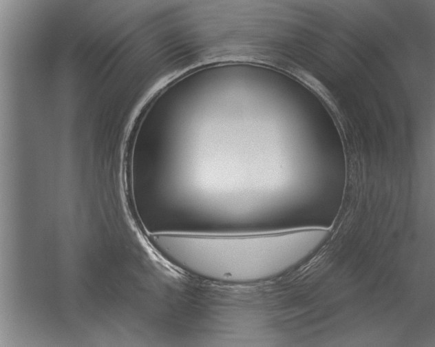 X0000060261144200510281002