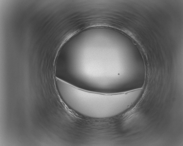 X0000060261145200510281002