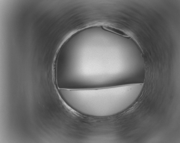 X0000060261151200510281002