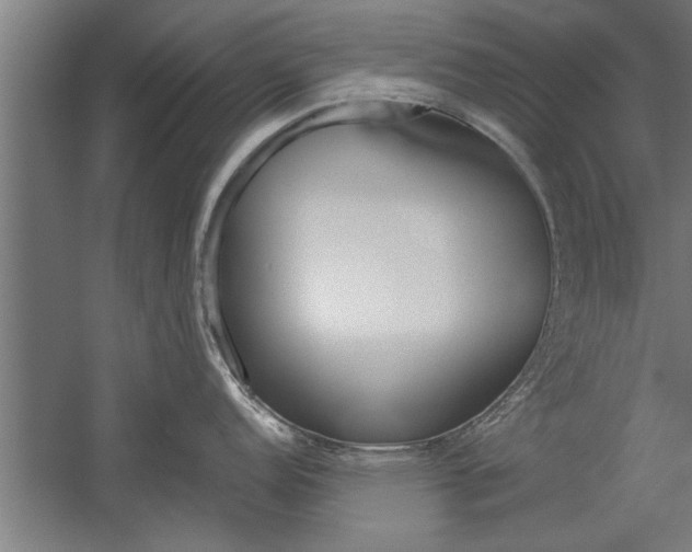 X0000060261152200510281002