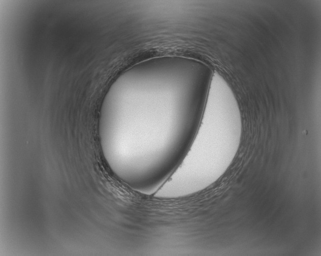 X0000060261153200510281001