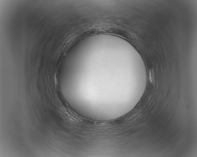 X0000060261155200510281001