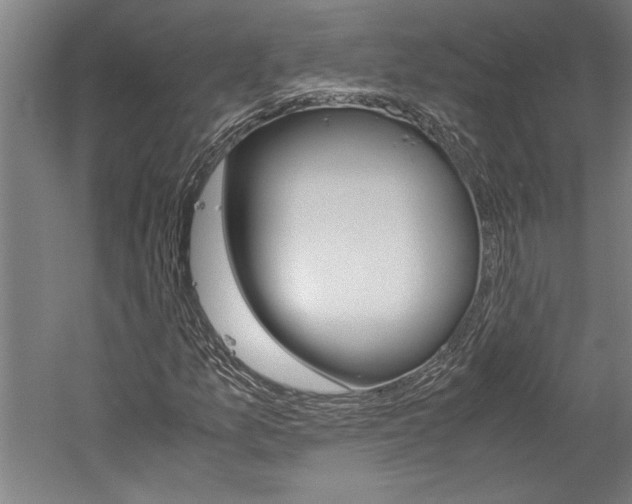 X0000060261157200510281001