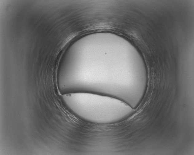X0000060261162200510281001