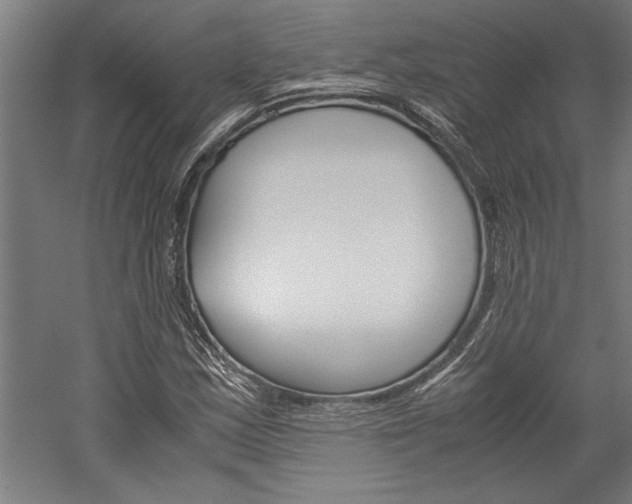 X0000060261163200510281001