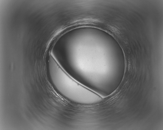 X0000060261164200510281001