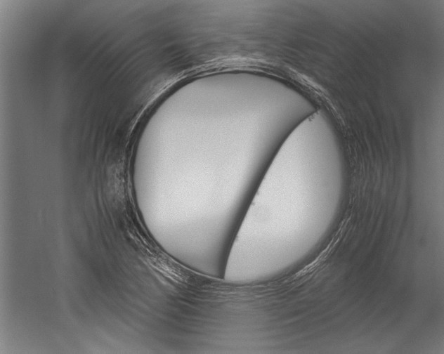 X0000060261170200510281001