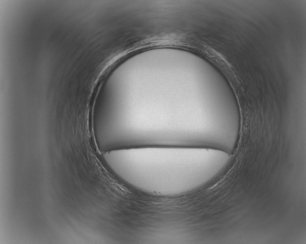 X0000060261174200510281001