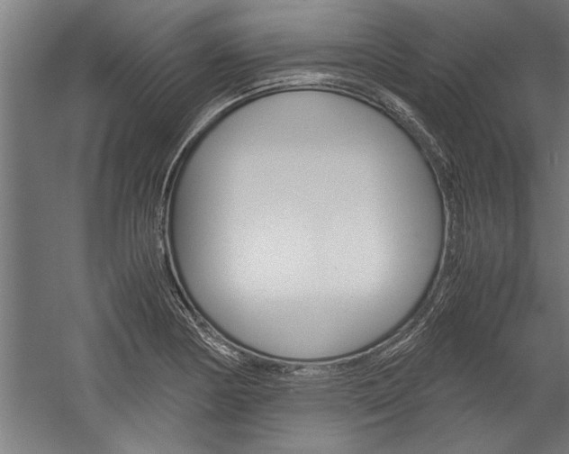 X0000060261178200510281001