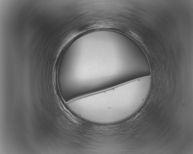 X0000060261179200510281001