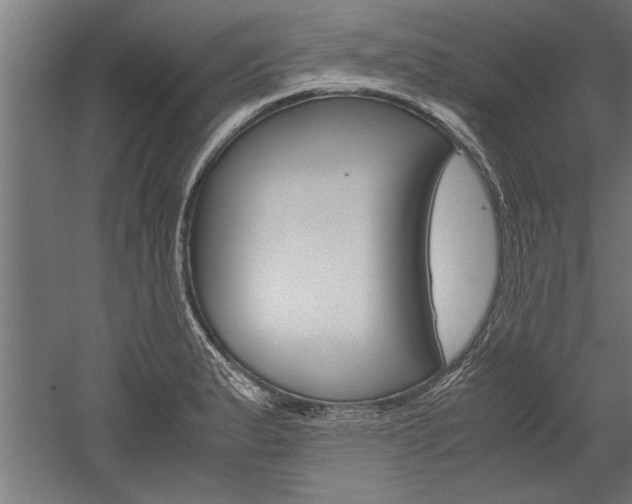 X0000060261183200510281001