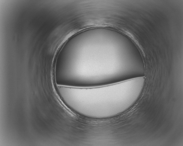 X0000060261187200510281001