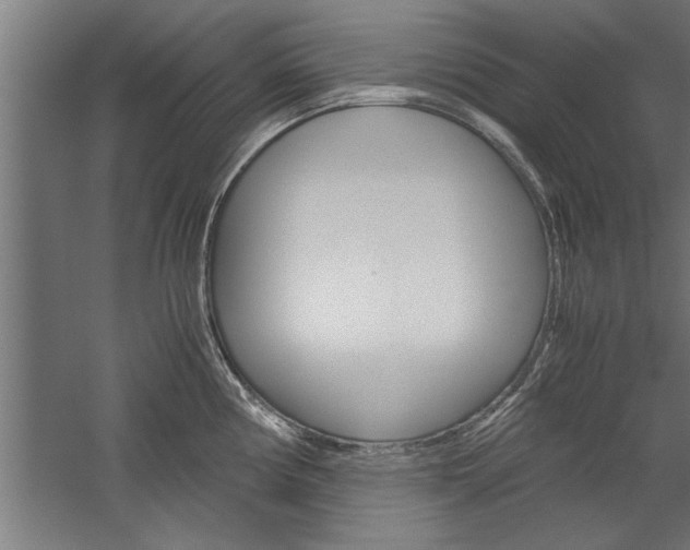 X0000060261194200510281001