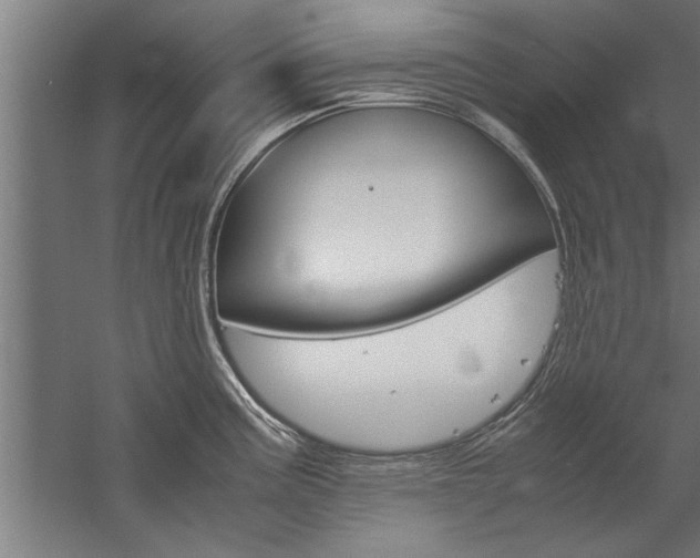 X0000060261195200510281001