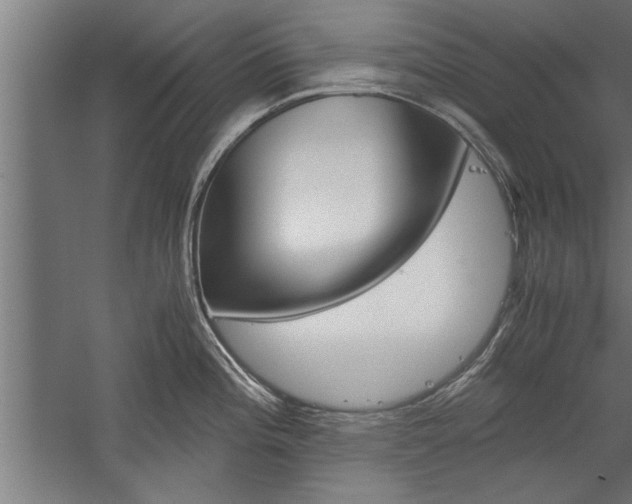 X0000060261196200510281001